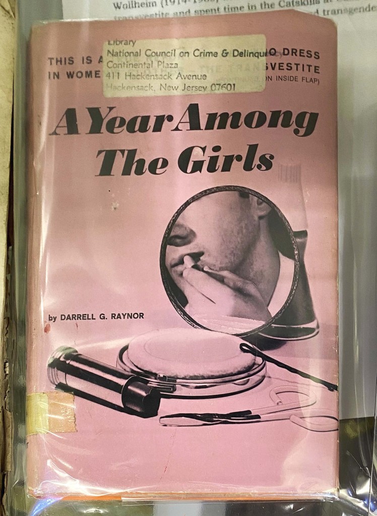 cover of a year among the girls